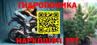 jwh Гусь-Хрустальный