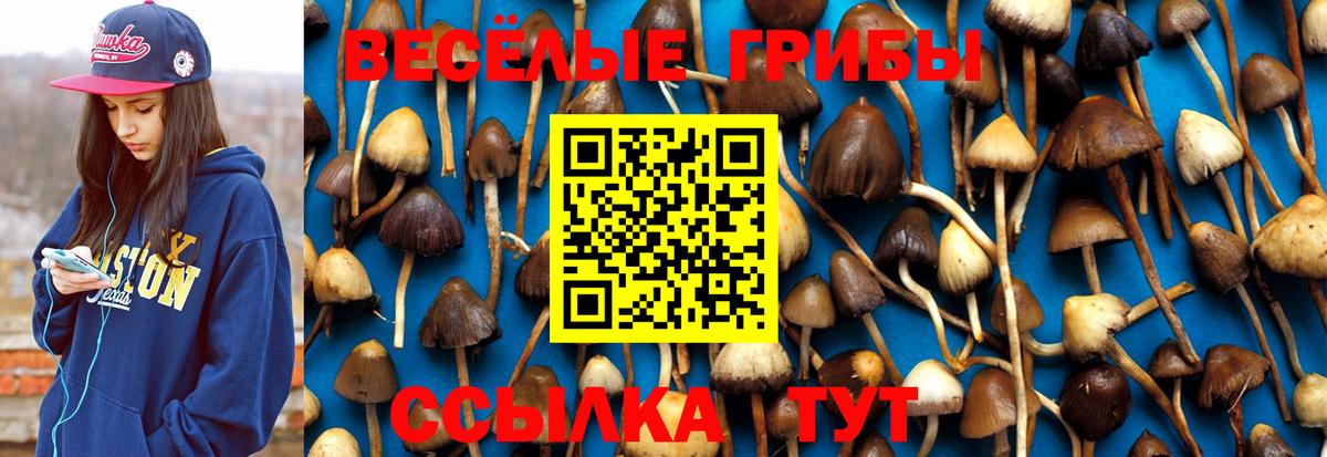 Галлюциногенные грибы Cubensis Магнитогорск